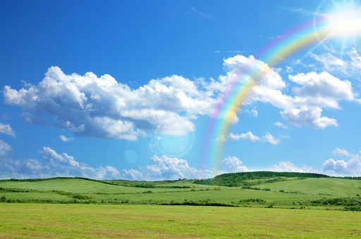 Rainbow and meadow